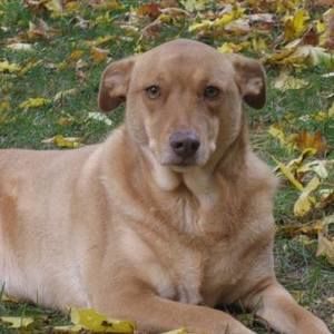 Meet your Posher, Sal